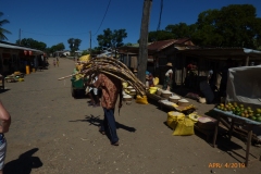 P1140759