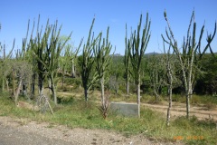 P1140811
