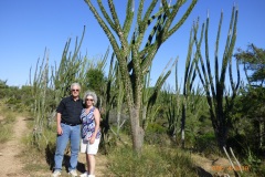 P1140814
