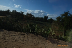 P1140823
