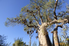 P1140845