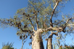 P1140846