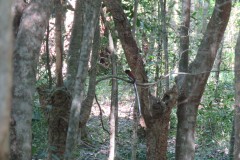 P1140875i