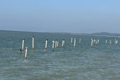 IMG_3215-scaled