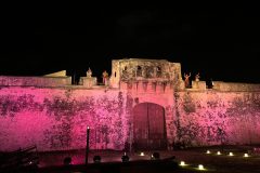 IMG_3235-scaled
