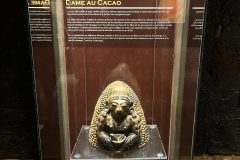 IMG_3248-scaled