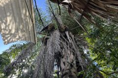 IMG_3291-scaled