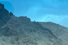 IMG_5431