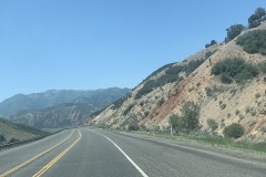 IMG_6515