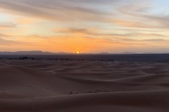 IMG_1311