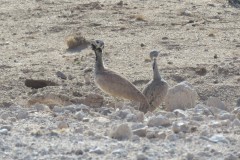 IMG_2407