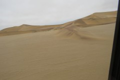 IMG_2434
