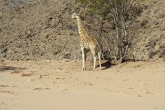 IMG_2435