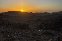 IMG_3869