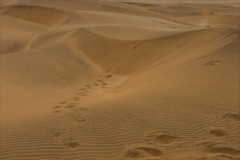 IMG_4035
