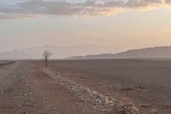 IMG_4246