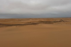 IMG_4435