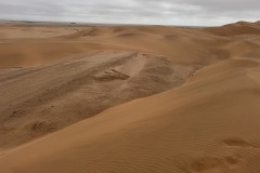 IMG_4438
