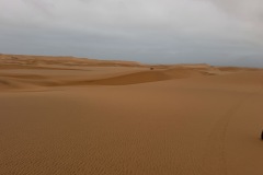 IMG_4453