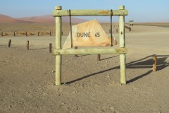 WOMG0916