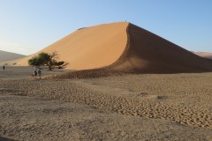 XVUA0184