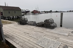 IMG_5576