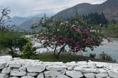 IMG_9865