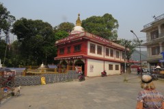 PODF7781