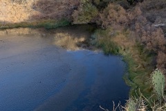 IMG_2503
