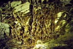 100-0012520252882529