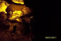 100-0012520252892529