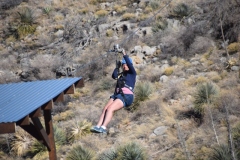 3-84-Zip-Lining