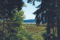 View-of-Mt-St-Helens-from-the-Visitors-Center