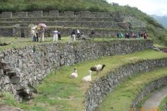 Peru-138