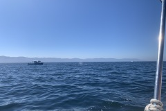 IMG_5686