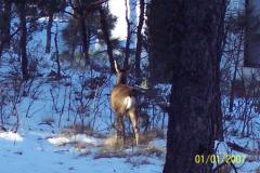 Ruidosa-028