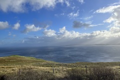 IMG_8509