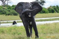 Africa-1011