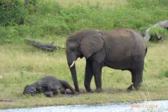 Africa-1019