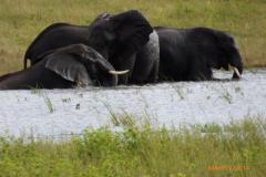 Africa-1021