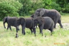 Africa-1025