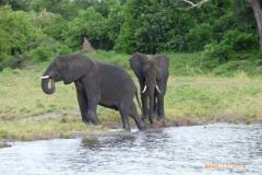Africa-1031