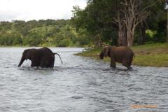 Africa-1034