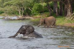 Africa-1040