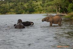 Africa-1043