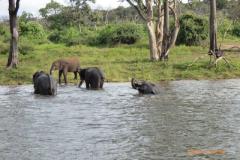 Africa-1044