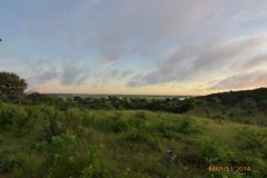 Africa-1076