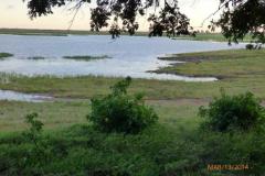 Africa-1079