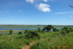 Africa-1177