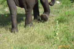 Africa-1210